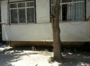 Satılır 3 otaqlı 90 m2 köhnə tikili Neapol dairəsi