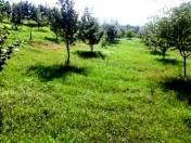 Satılır 30 sot torpaq Quba