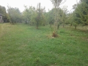 Satılır 5 sot torpaq İsmayıllı