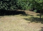 Satılır 12 sot torpaq İsmayıllı