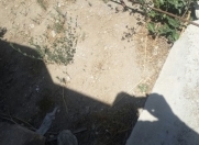 Satılır 8 otaqlı 200 m2 həyət evi Abşeron r.