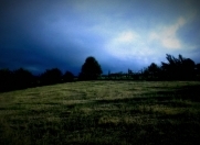 Satılır 20 sot torpaq Quba