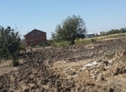 Satılır 20 sot torpaq Masallı