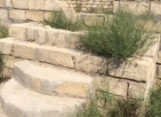 Satılır 25 sot torpaq Neftçala