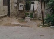 İcarəyə verilir 1 otaqlı 26 m2 həyət evi Nizami m.