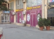 İcarəyə verilir 5 otaqlı 250 m2 obyekt Ayna Sultanova heykəli