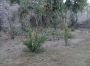 Satılır 4 sot torpaq Buzovna