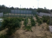 Satılır 5 otaqlı 20 m2 bağ evi Bakı