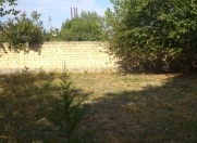 Satılır 11 sot torpaq Şəki