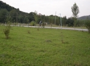 Satılır 255 sot torpaq Şabran