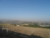 Satılır 12 sot torpaq Şamaxı