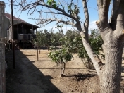 Satılır 8 sot torpaq Sumqayıt