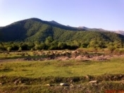 Satılır 6 sot torpaq Qax