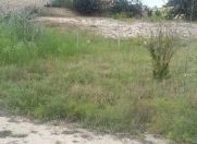 Satılır 24 sot torpaq Pirşağı