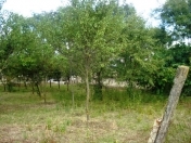 Satılır 7.5 sot torpaq Şamaxı