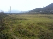 Satılır 179 sot torpaq Lənkəran