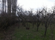 Satılır 30 sot torpaq Xaçmaz