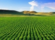 Satılır 122 sot torpaq Xaçmaz