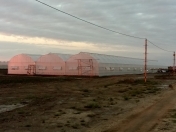 Satılır 120 sot torpaq Salyan