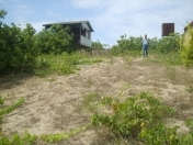 Satılır 14 sot torpaq Novxanı