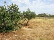 Satılır 20 sot torpaq Sabunçu r.