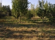 Satılır 14 sot torpaq Xaçmaz