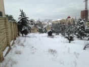 Satılır 15 sot torpaq Badamdar