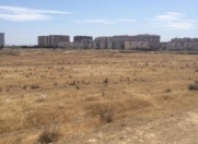 Satılır 5000 sot torpaq Məhəmmədli