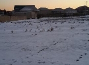 Satılır 9 sot torpaq Qala