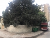 Satılır 2 sot torpaq 7 mkr