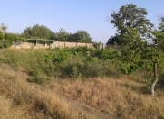 Satılır 6 sot torpaq Sumqayıt