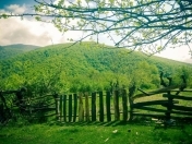 Satılır 18 sot torpaq Qax