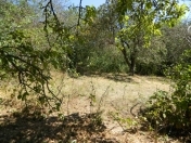 Satılır 40 sot torpaq Şamaxı