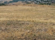 Satılır 136 sot torpaq Şamaxı