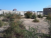 Satılır 12 sot torpaq Oğuz