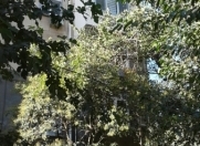 Satılır 2 otaqlı 32 m2 köhnə tikili Sevinc k/t