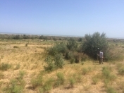 Satılır 282 sot torpaq Siyəzən