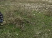 Satılır 6 sot torpaq Qusar