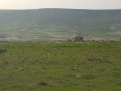 Satılır 100000 sot torpaq Xırdalan