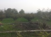 Satılır 20 sot torpaq Oğuz