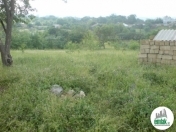 Satılır 5 sot torpaq Qusar