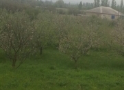 Satılır 12 sot torpaq Qusar