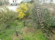 Satılır 4 sot torpaq Xaçmaz