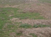 Satılır 600 sot torpaq Naxçıvan