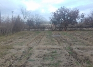 Satılır 15 sot torpaq Bərdə