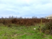 Satılır 10 sot torpaq Xaçmaz