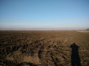 Satılır 156 sot torpaq Xaçmaz