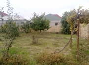 Satılır 6 sot torpaq Buzovna