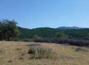 Satılır 10 sot torpaq İsmayıllı