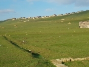 Satılır 40 sot torpaq Xırdalan